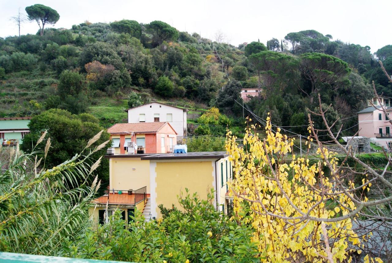 Chez Sylviehouse Leilighet Monterosso al Mare Eksteriør bilde