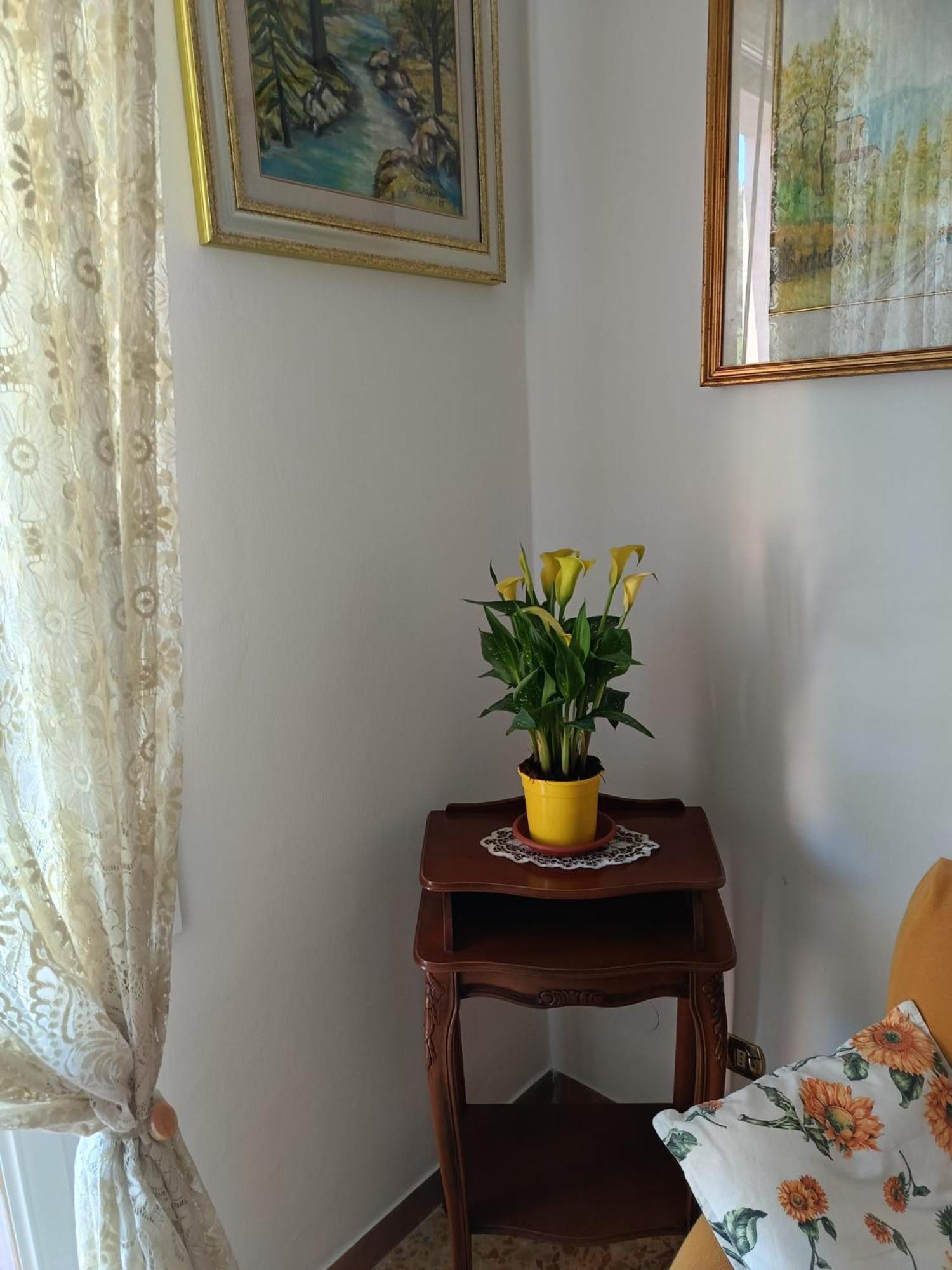 Chez Sylviehouse Leilighet Monterosso al Mare Eksteriør bilde